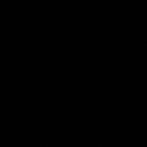 Meet your Posher, Jaylyn